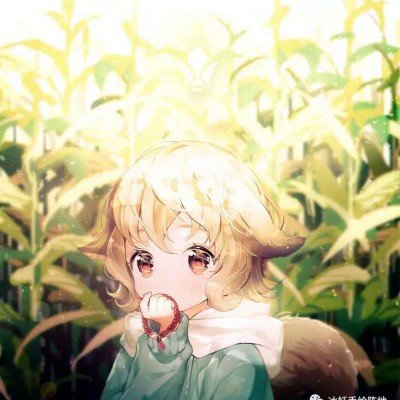 中端显卡京东商城好评榜 有你喜欢的那款吗？